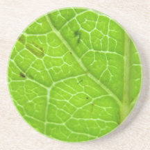 Práctico de costa verde de la hoja posavasos personalizados