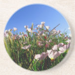 Práctico de costa - Wildflowers posavasos