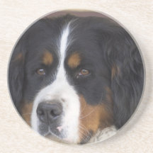 Prácticos de costa del perro de montaña de Bernese Posavasos Para Bebidas