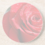Prácticos de costa del rosa rojo posavasos personalizados
