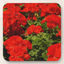 Prácticos de costa rojos del corcho de los geranio posavasos