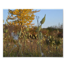 PRADO DEL OTOÑO. FOTO