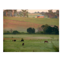 Prado en los robles tarjetas postales