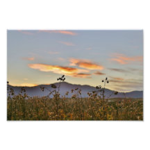 Prado y el pico de Pike Arte Fotografico