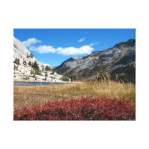Prados de Yosemite Impresiones En Lona