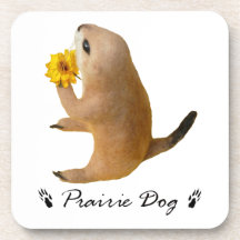 Prairiedogs, プレーリードッグ, práctico de costa del corch posavaso