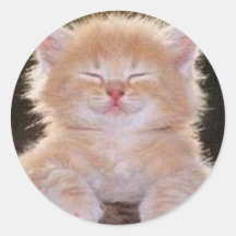 prayingcat pegatina redonda