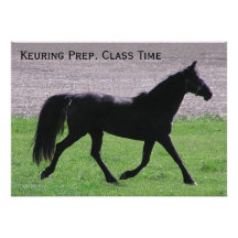Preparación de Keuring. Tiempo de la clase Comunicados