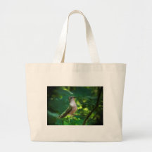 Presentación Bolsas