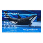 Presentación de tarjetas de visita de la orca