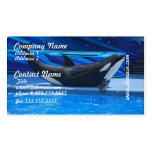 Presentación de tarjetas de visita de la orca