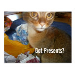 ¿Presentes conseguidos? Postal del navidad del gat