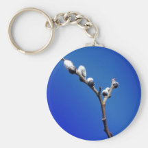 Primavera de Maine Llaveros Personalizados