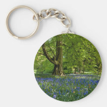 Primavera del Bluebell Llavero
