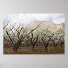 Primavera en el Mesa de la huerta Poster