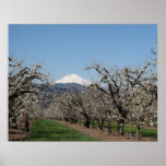 Primavera en la pintura al óleo del valle impresiones