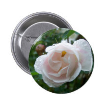 Primavera en Maine Pin