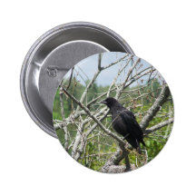 Primavera en Maine Pins