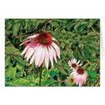 Primavera en medio del pino y del Wildflower Tarjetas