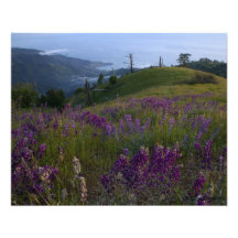 Primavera en Sur grande Fotografias