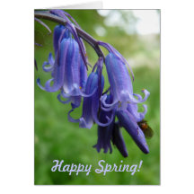 ¡Primavera feliz! "Bluebells en Inglaterra " Tarjeton