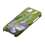 Primavera iPhone 5 Fundas