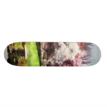 Primavera japonesa tabla de skate