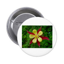 Primavera Pin