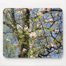 Primavera Tapetes De Ratones
