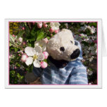 primavera teddybeary felicitaciones