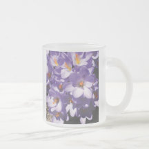 Primavera temprana, azafrán taza