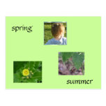 Primavera/verano Postales