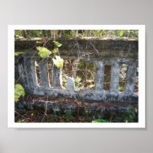Primaveras históricas de Suwannee, la Florida Impresiones