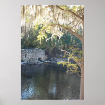Primaveras históricas de Suwannee, la Florida Posters