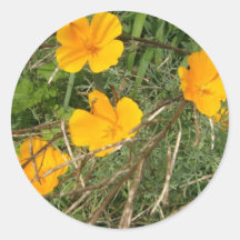 Primer amarillo del jardín de flores etiqueta