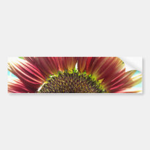 Primer Bumpersticker del girasol Etiqueta De Parachoque