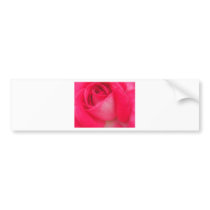 primer color de rosa rosado pegatinas de parachoque