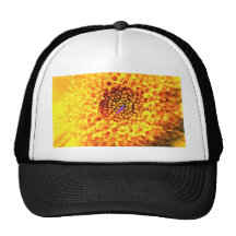 Primer de la maravilla gorros bordados