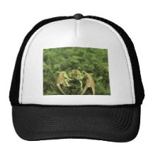 Primer de los cangrejos subacuático gorra
