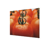 Primer de los tomates 2 impresiones en lona