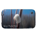 Primer del Catkin del sauce; Personalizable iPhone 3 Tough Fundas