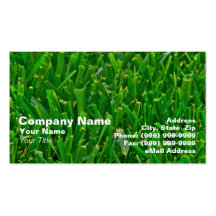 Primer del césped verde tarjetas de visita