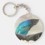 Primer exótico de los pescados de Betta Llavero