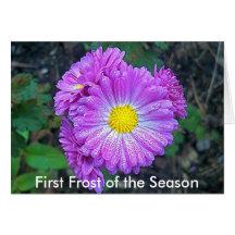 Primer Frost de la estación Felicitación