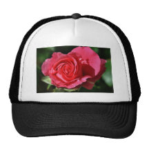 Primera floración gorras de camionero