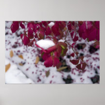 Primeras nevadas posters