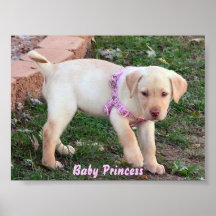 Princesa del bebé impresiones