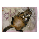 PRINCESA ESTROPEADA CAT LAYING ON BACK FELICITACION 