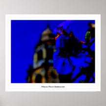 Princesa Flower (luminescente) Posters