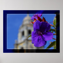 Princesa Flower Poster